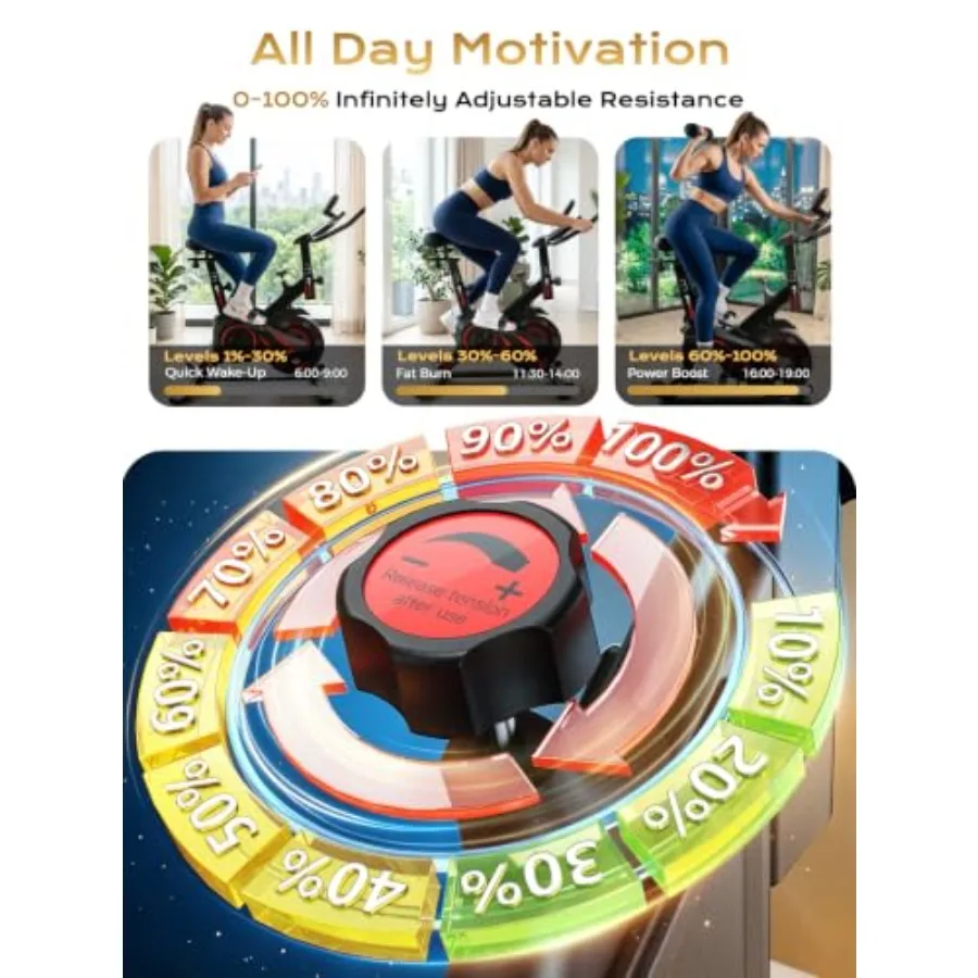 350파운드까지 지탱할 수 있는 용량, 스틸 프레임,  - Exercise Bike Magnetic Resistance 리뷰 및 가격