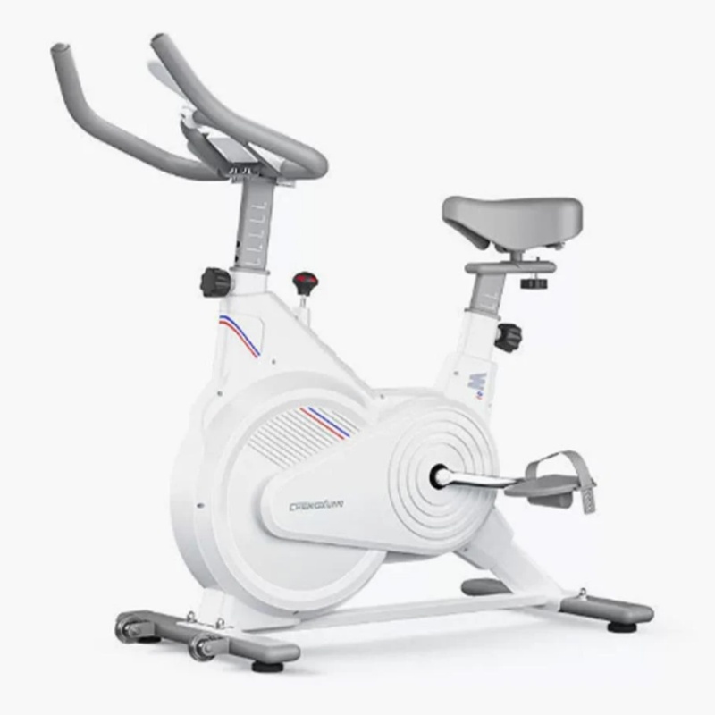실내용 고정식 스핀 바이크, LCD 모니터가 있는 무소 - Exercise Bike Magnetic Resistance 리뷰 및 가격